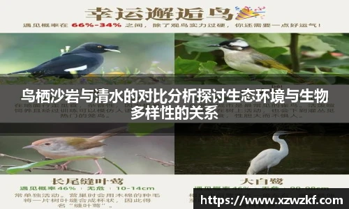 鸟栖沙岩与清水的对比分析探讨生态环境与生物多样性的关系