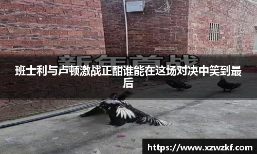 VSport官方网站